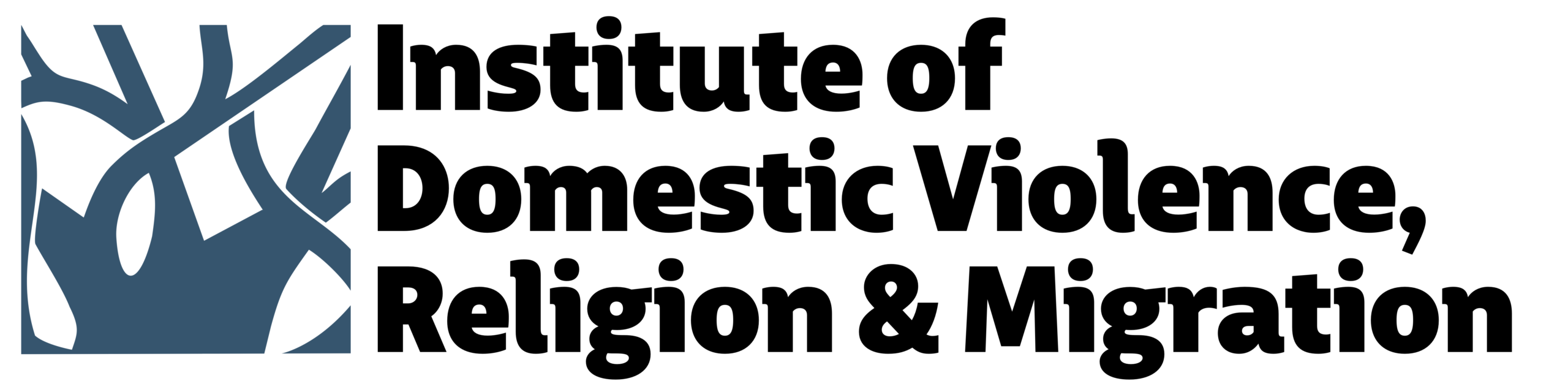 Institute of Domestic Violence, Religion & Migration